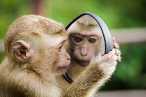 how do you see yourself?